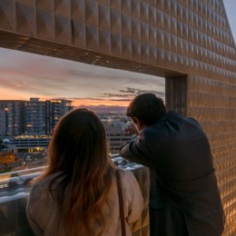 people looking over a balcony towards a city at dusk